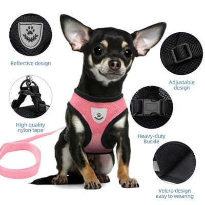Summer Cat Dog Harness Lead Leash Adjustable Vest