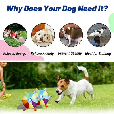 Funny Rainbow Plush Flying Saucer Dog Toys Outdoor