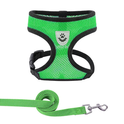 Summer Cat Dog Harness Lead Leash Adjustable Vest