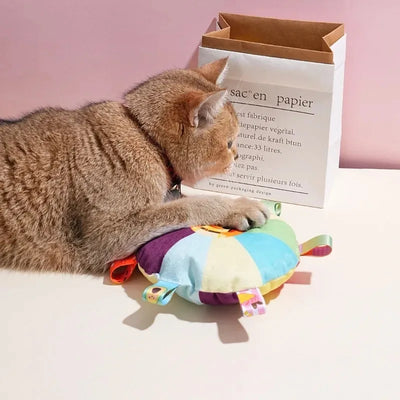 Funny Rainbow Plush Flying Saucer Dog Toys Outdoor